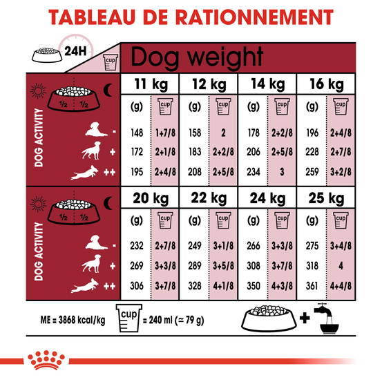 Croquettes chien +10 ans Medium Ageing 10+ 15kg