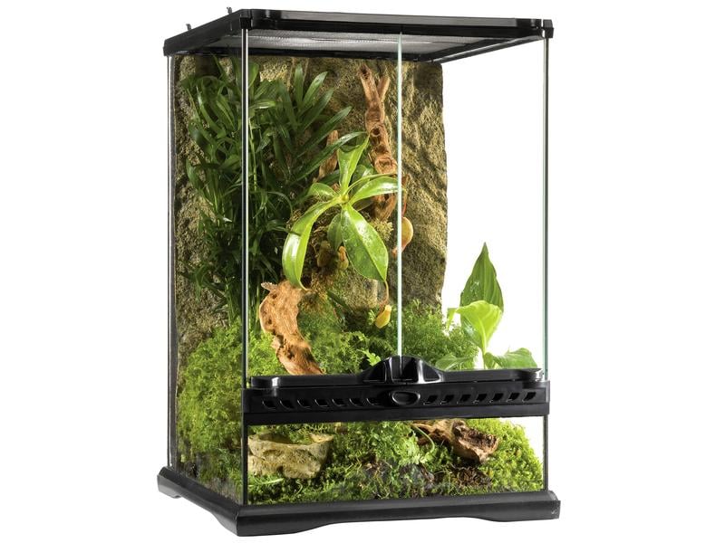 Exo Terra Glasterrarium Natural Mini/Tall, 30 x 30 x 45 cm Terrarium für Reptilien und Amphibien inkl. Steinmotivrückwand