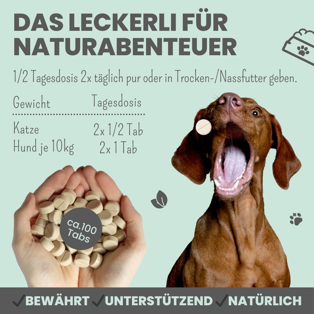 noms+ Zistrosen Tabs - 100% natürliches Zistrosen-Leckerli für Wald- & Wiesenspaziergänge