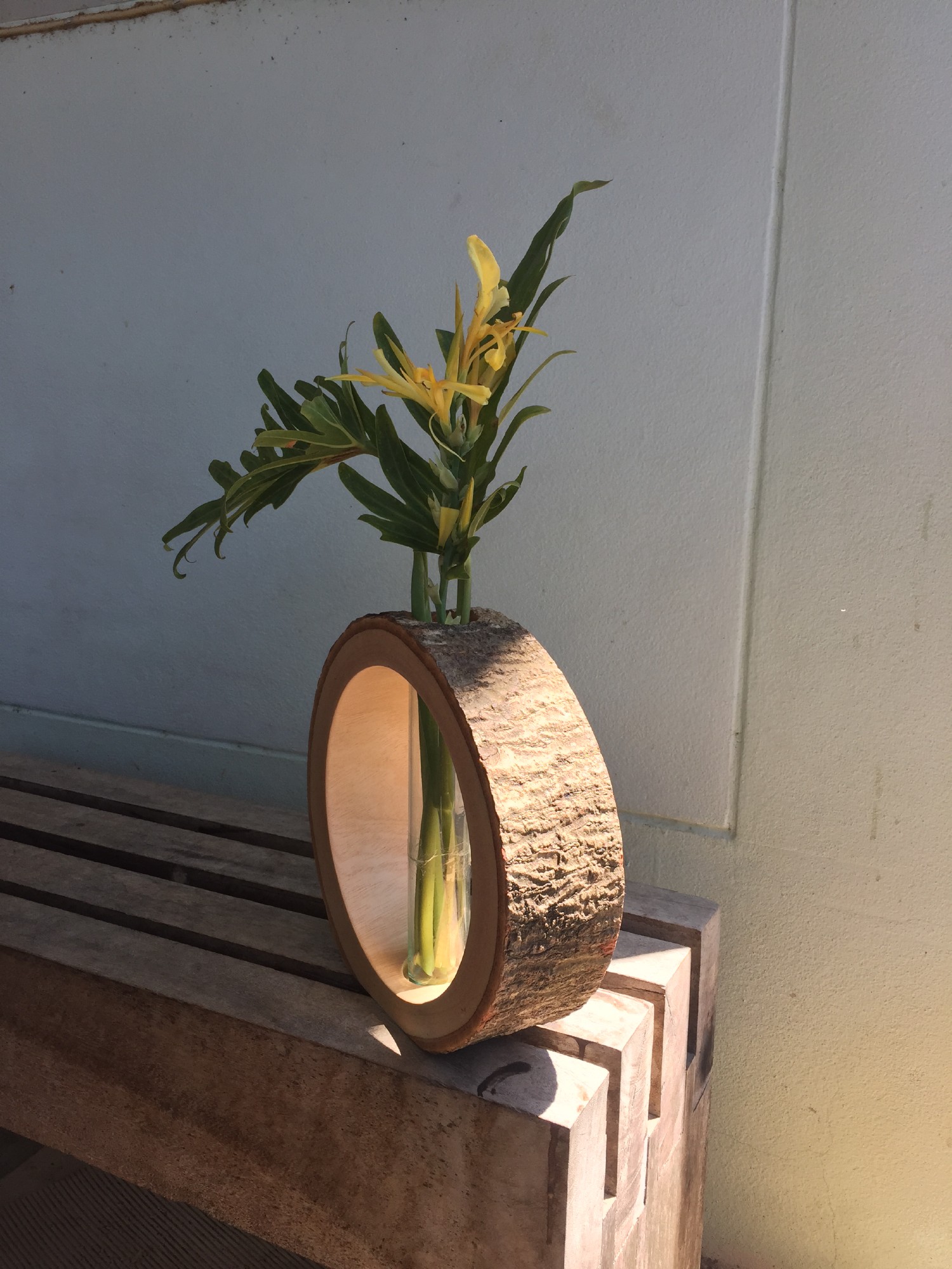 Vase mit Baumrinde, Mangoholz, B 27 cm, H 25 cm, T 8 cm von fischer's lagerhaus