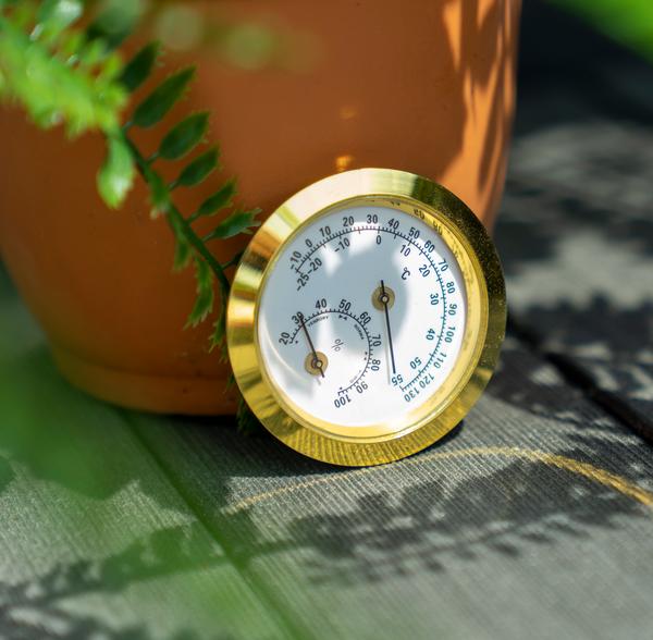 Vitavia Hygrometer