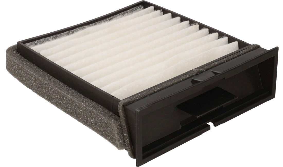 Pollenfilter, Pollenfilter