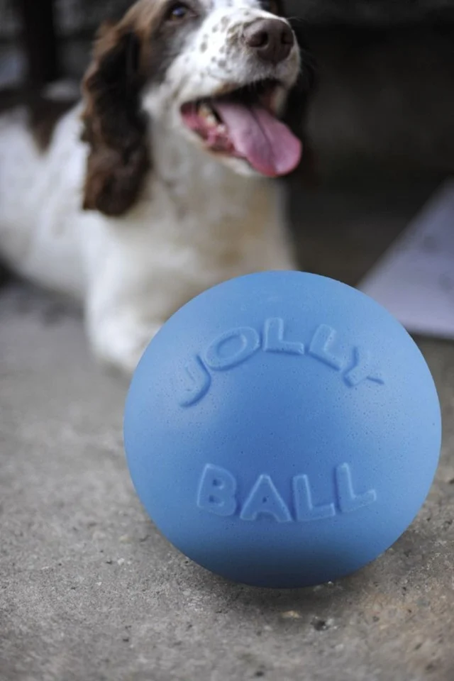 Jolly Pets - Ball Bounce-n Play 20cm Baby Blå (Blåbær duft)