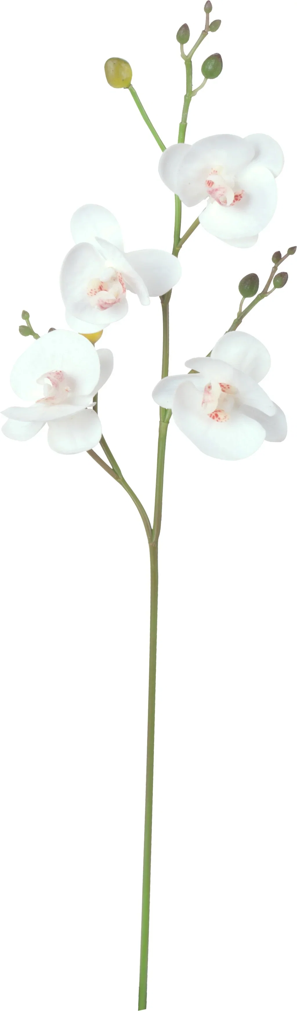 Orkidékvist kunstig Høyde 52 cm