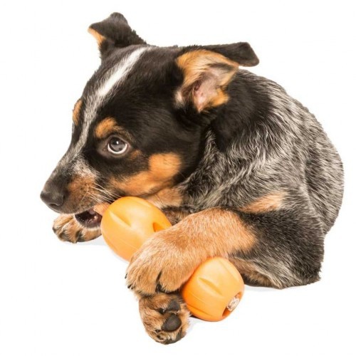 Brinquedo dispensador de petiscos laranja para cães
