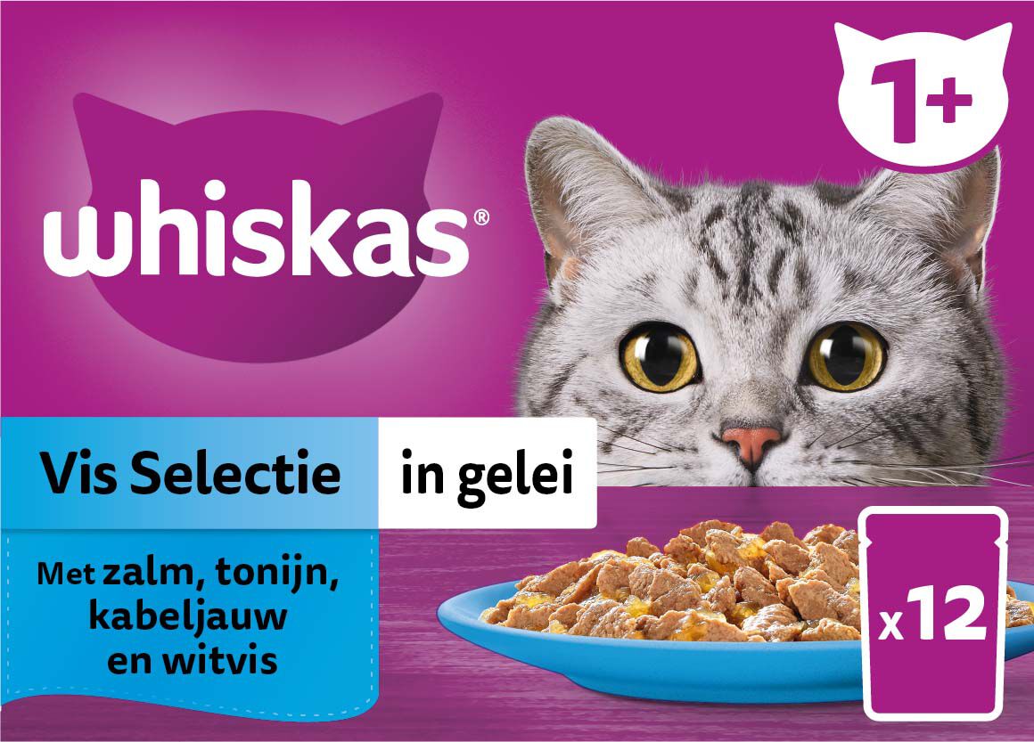 Whiskas  1  Vis Selectie in gelei - Kattenvoer - 12x85 gram - 1020 Gram - gelei