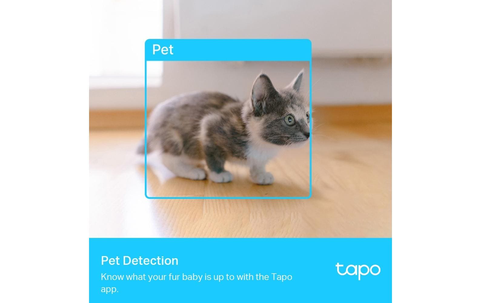 Netzwerkkamera Tapo C225Schwenken/Neigen AI Home Security Wi-Fi Kamera