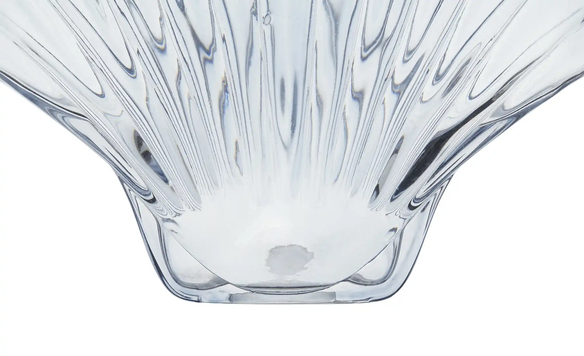 Vase  Muschel