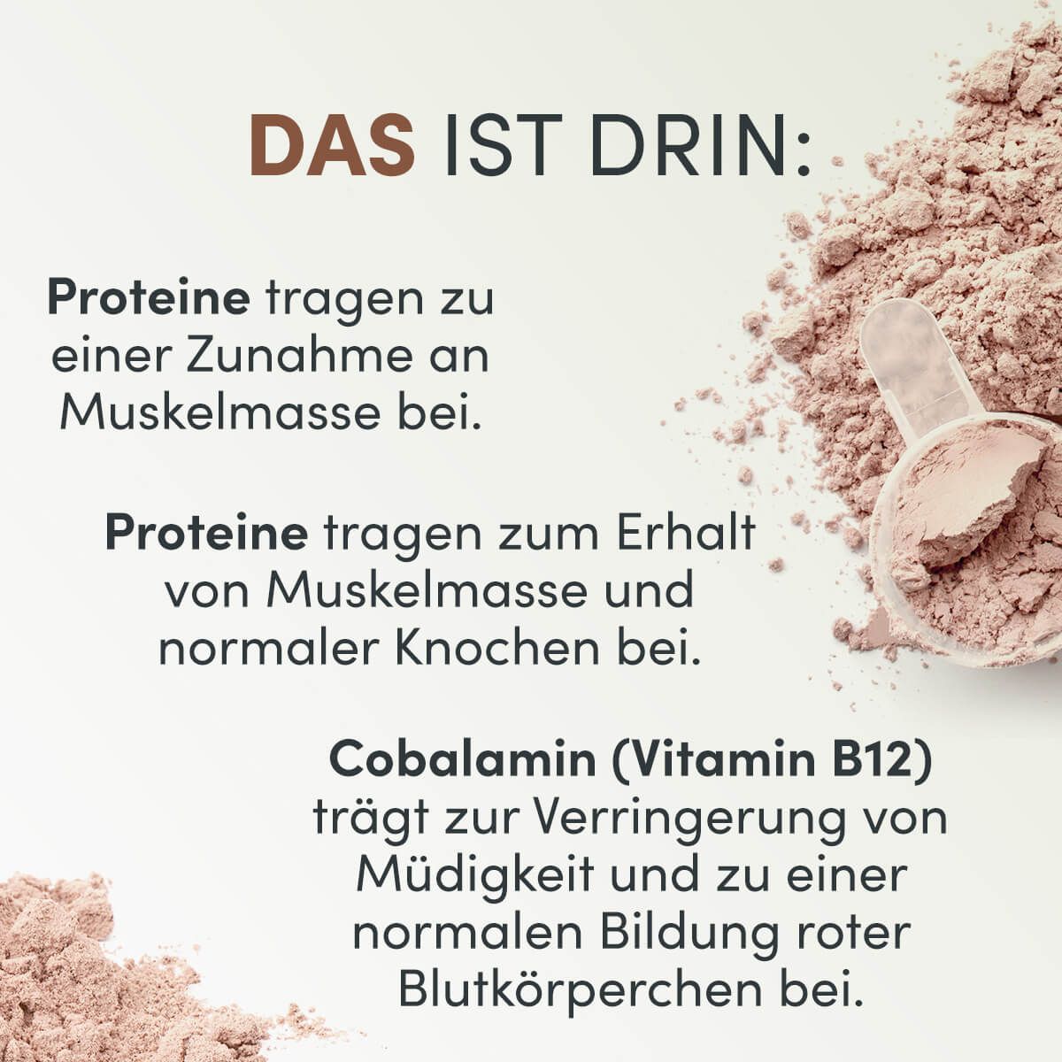 Veganes 3K Protein |  Kaffee Proteinshake | Shape Republic