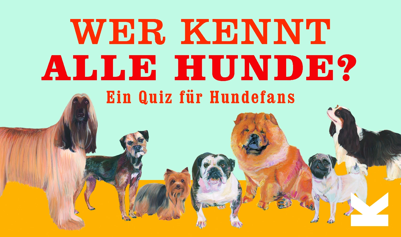 Wer kennt alle Hunde?