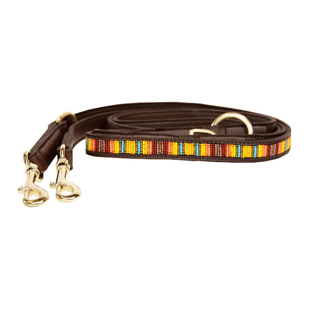 Kentucky PEARLS - Laisse pour chien mix orange