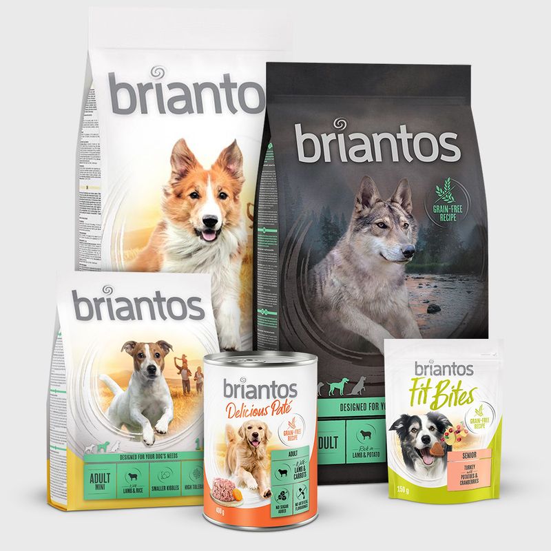 Lot Briantos Delicious Paté 48 x 100 g pour chien ✓ pas cher