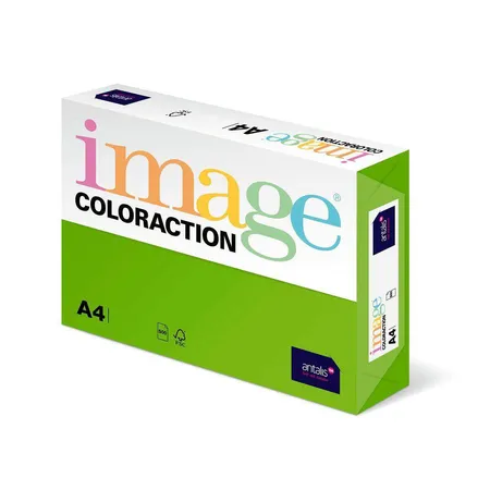 Antalis Kopierpapier, DIN A4, 160 g/qm, Farbe: java maigrün