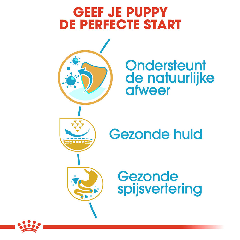 Royal Canin Pug Puppy - Hondenvoer