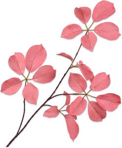 Silk-Ka kunsttak Wilde Wingerd roze 74 cm