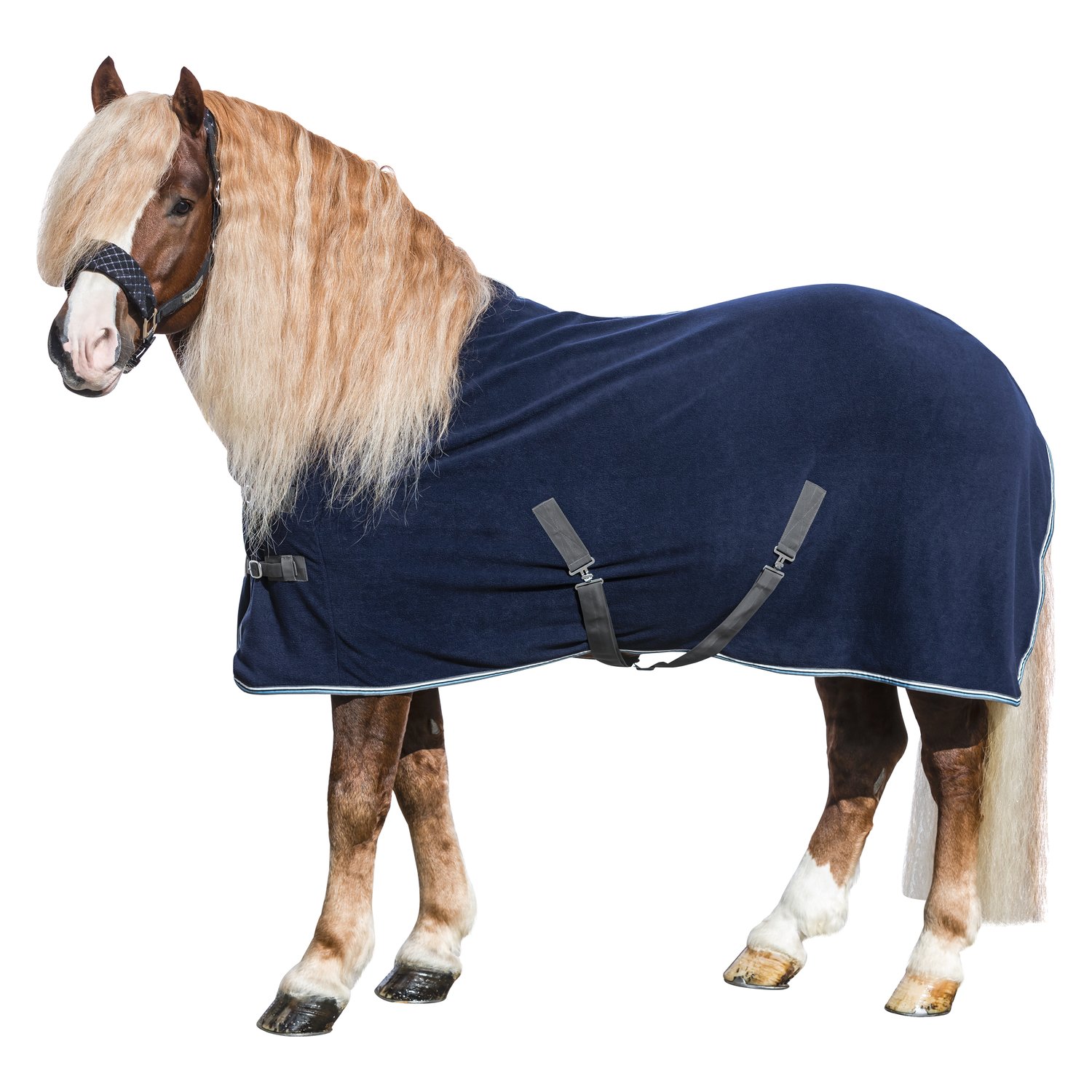 Horse-friends Abschwitzdecke XL - navy