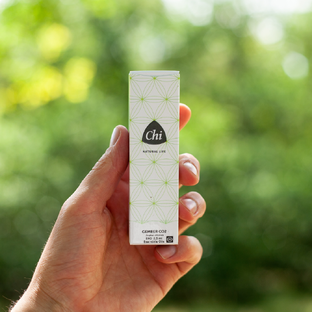 Chi Gember CO2 Extract Bio 2,5ML