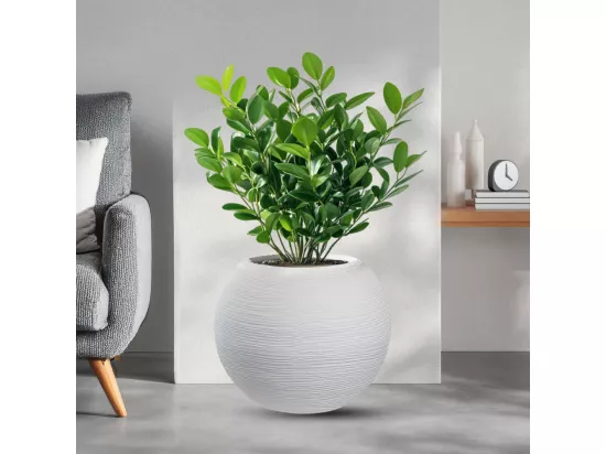 Vase en résine pour plantes d'intérieur et d'extérieur, design sphère ronde d.40x33h Botticelli Blanc