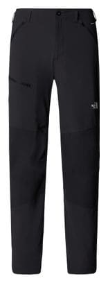 Pantalon Homme The North Face Speedlight Regular Gris