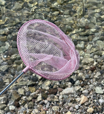 Follow the Duck Net - Telescopic Net - Blåsh Rose