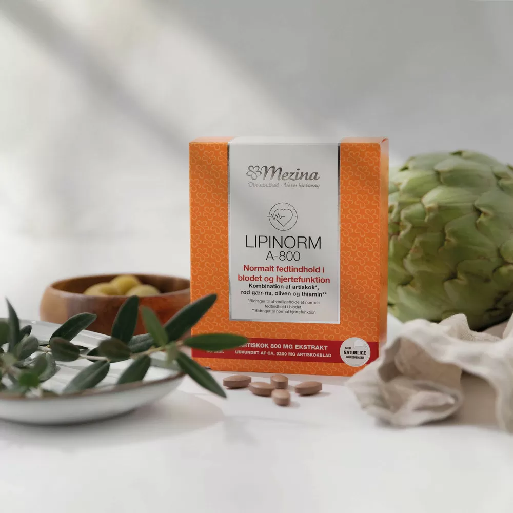 Lipinorm A-800 - 90 tabl.