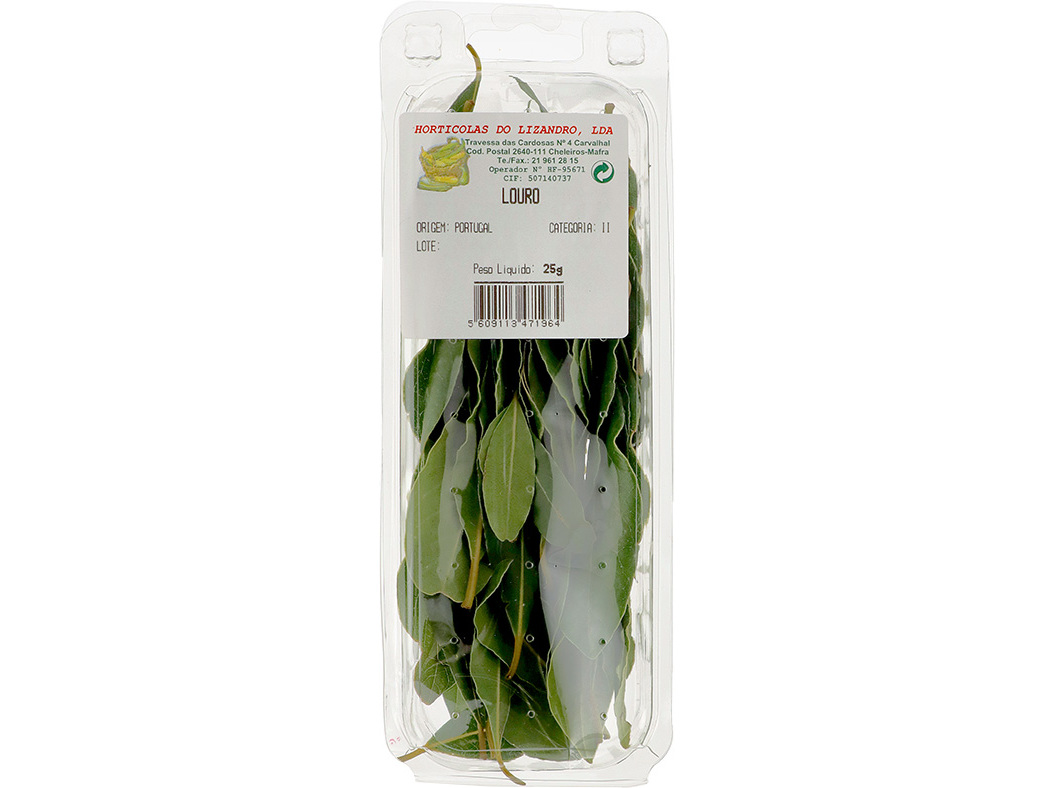 LOURO 25G