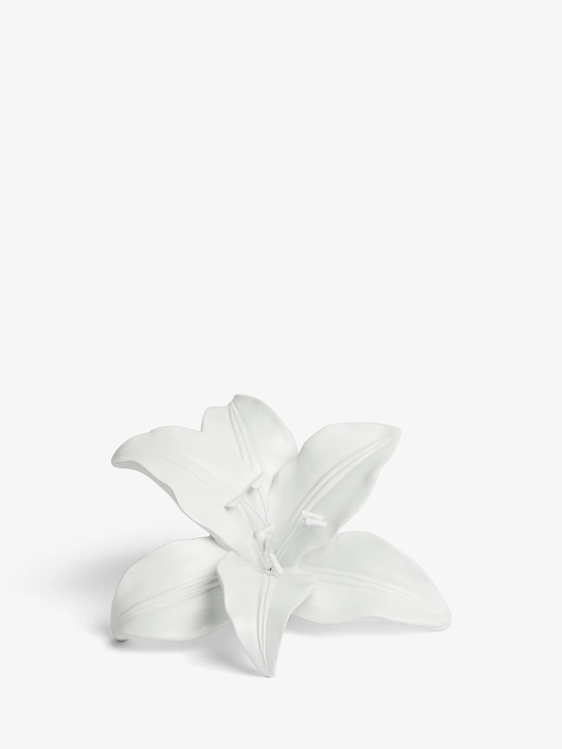 Decoratieve lelie