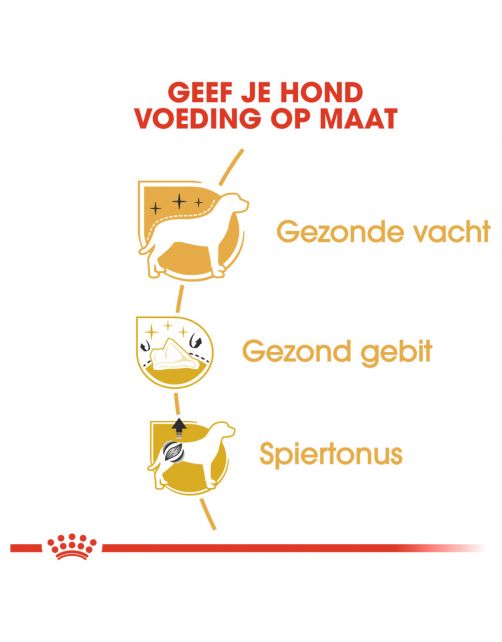 Royal Canin Poodle Adult - Hondenvoer