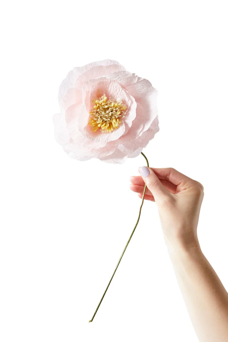 Studio About  Ice Poppy papirblomst - rose