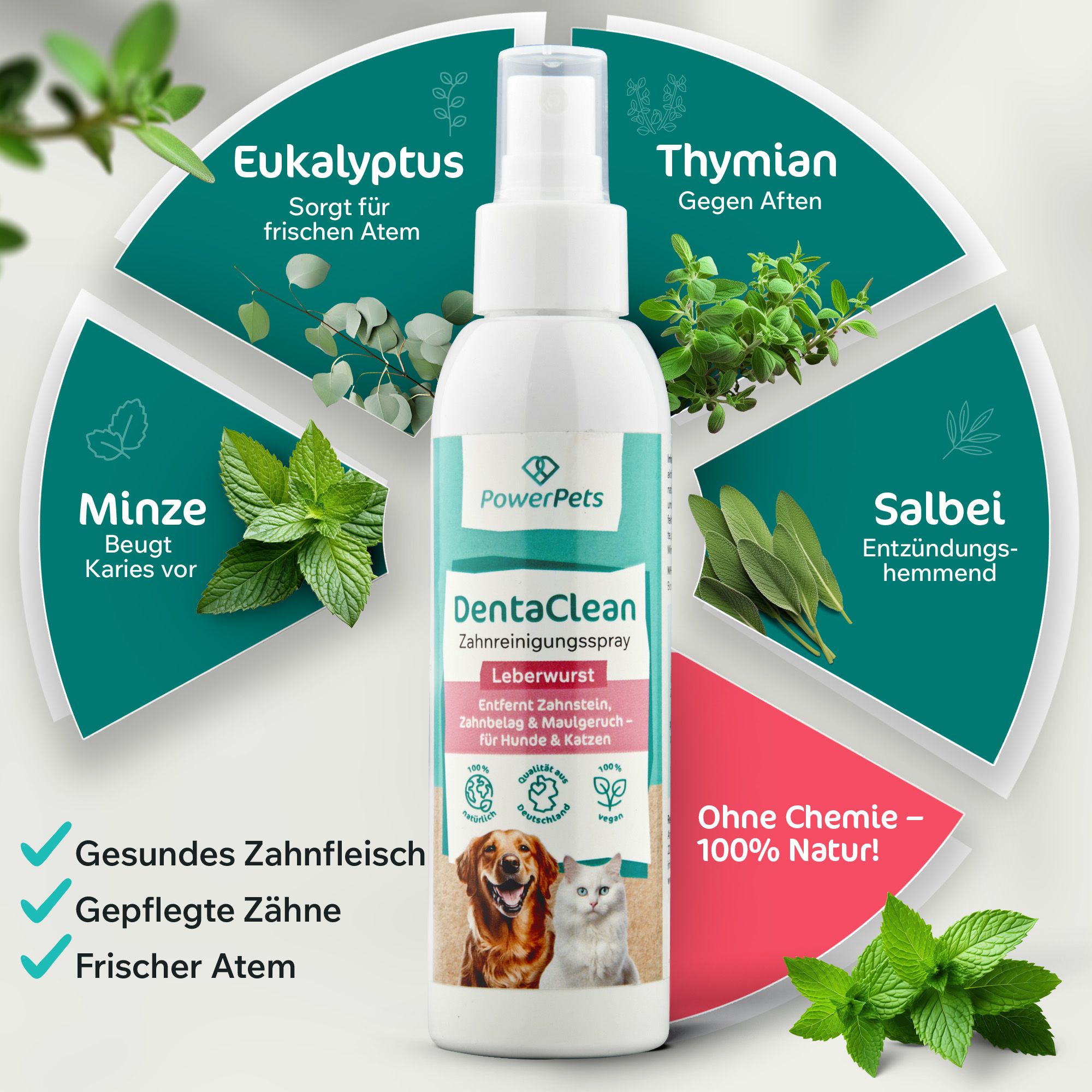 PowerPets - DentaClean - Zahnreinigungsspray Leberwurst