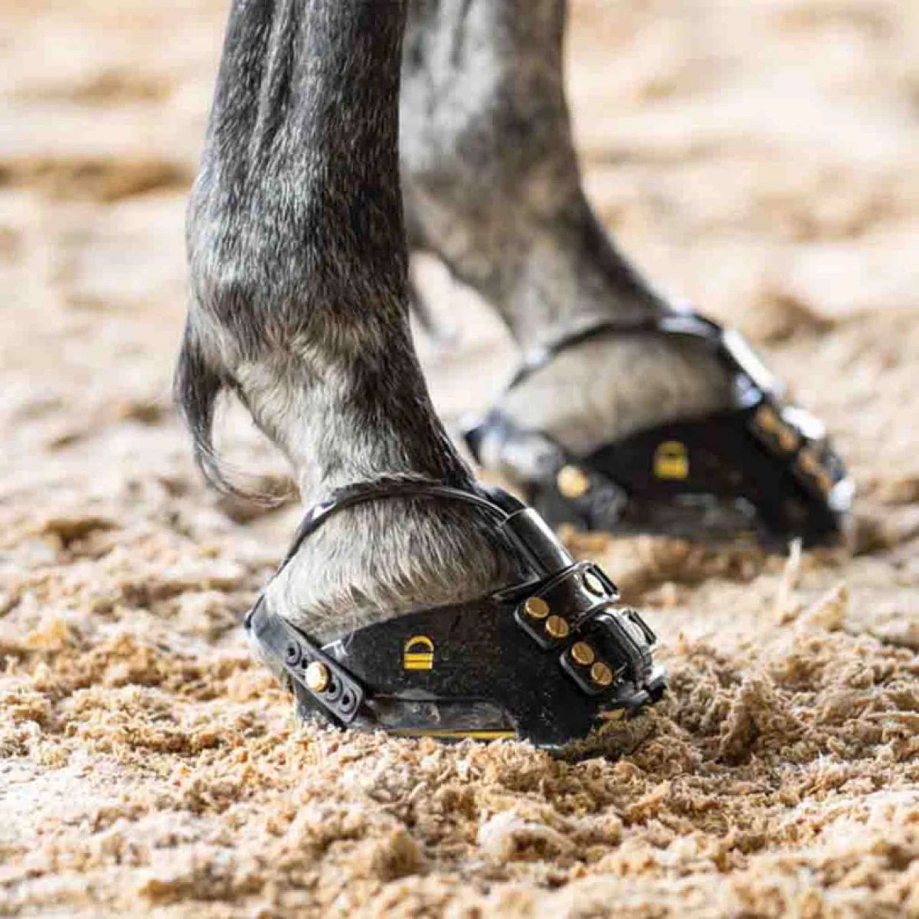 Scoot Boots Hoefschoen TheraRide Zwart