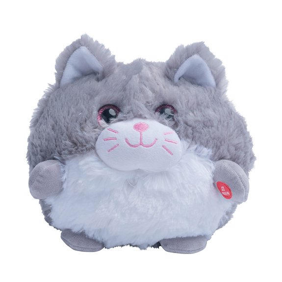 Chat rigolo