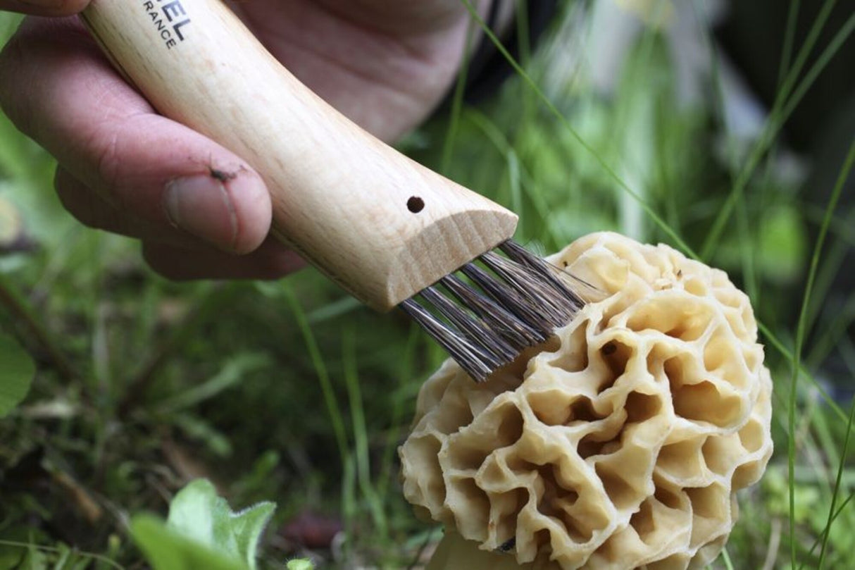 Opinel<br>N°08 Mushroom