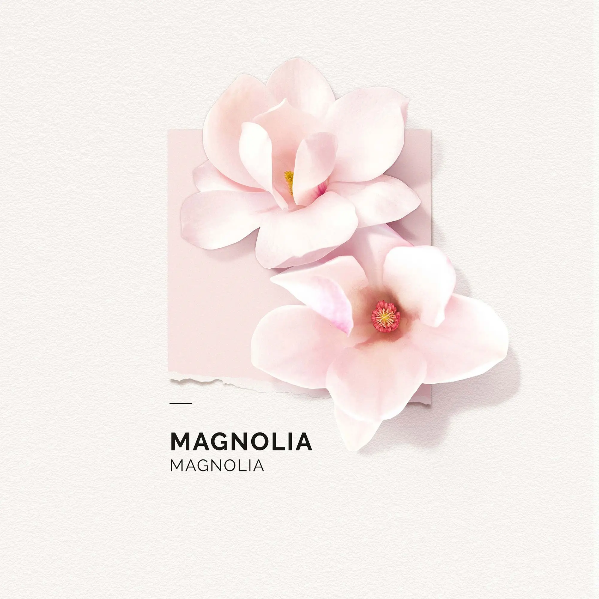 Solinotes - MAGNOLIA Brume Parfumée Brume parfumée- Brume parfumée