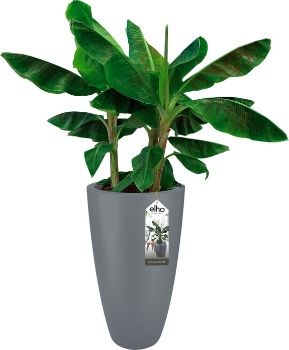 Elho bloempot Pure antraciet D 39 H 70,1 cm
