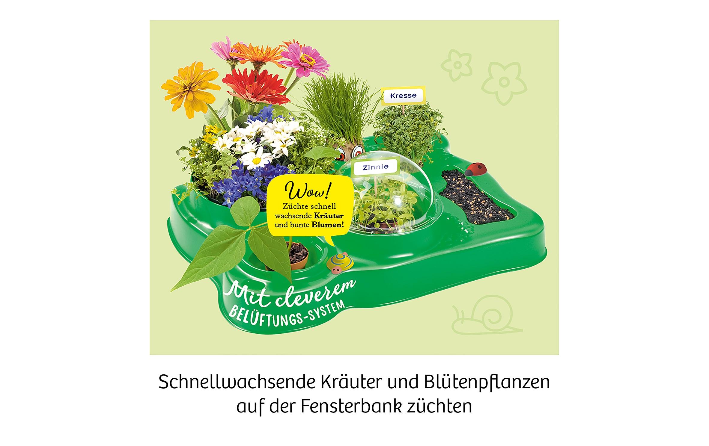 Experimentierkasten Mein erstes GewächshausEigenen Garten pflanzen