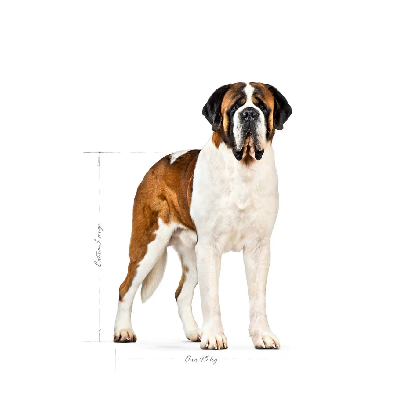 Royal Canin Royal Canin Giant Adult 15 kg