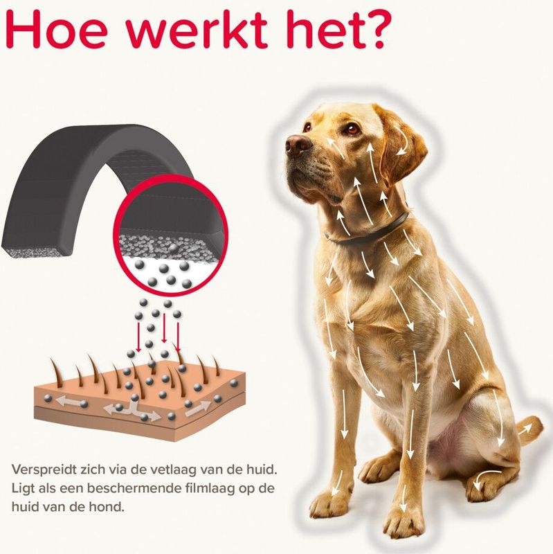 Beaphar - Canishield - Vlooien- en Tekenband - 48 cm - Geschikt voor Honden