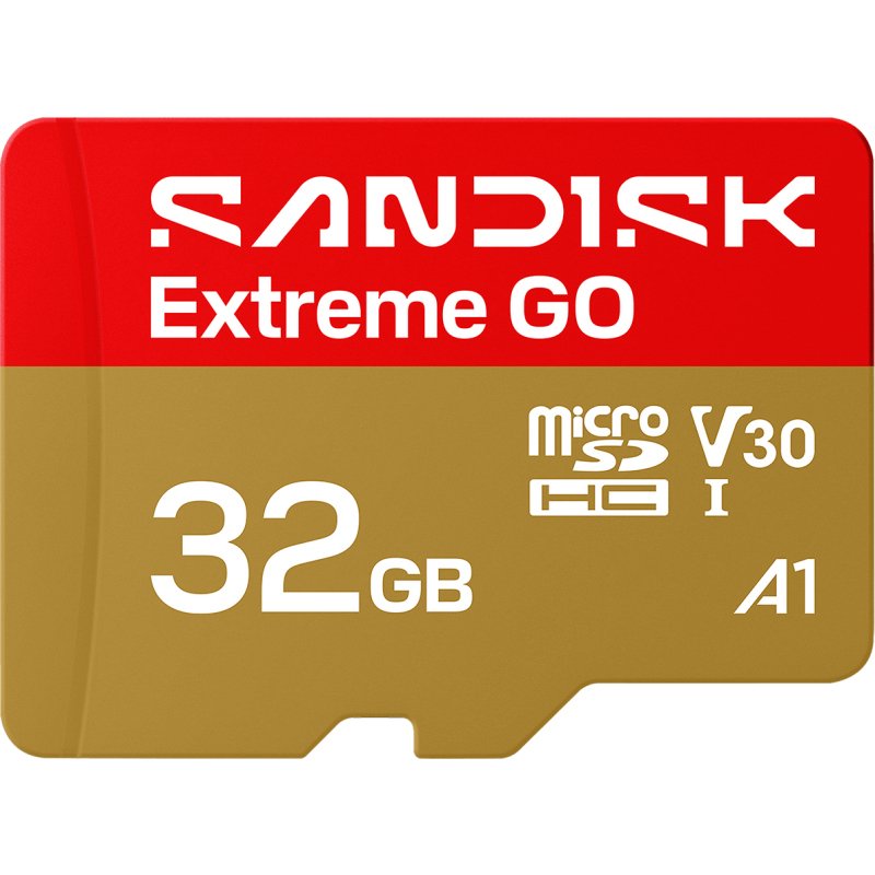 SanDisk Extreme GO 32 Go MicroSDHC UHS-I