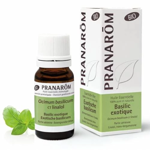 Basilic exotique - CT linalol - 10 ml
