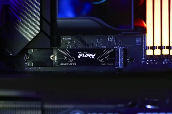 Kingston Fury Renegade G5 1TB (black, PCIe 5.0 x4, NVMe, M.2 2280)