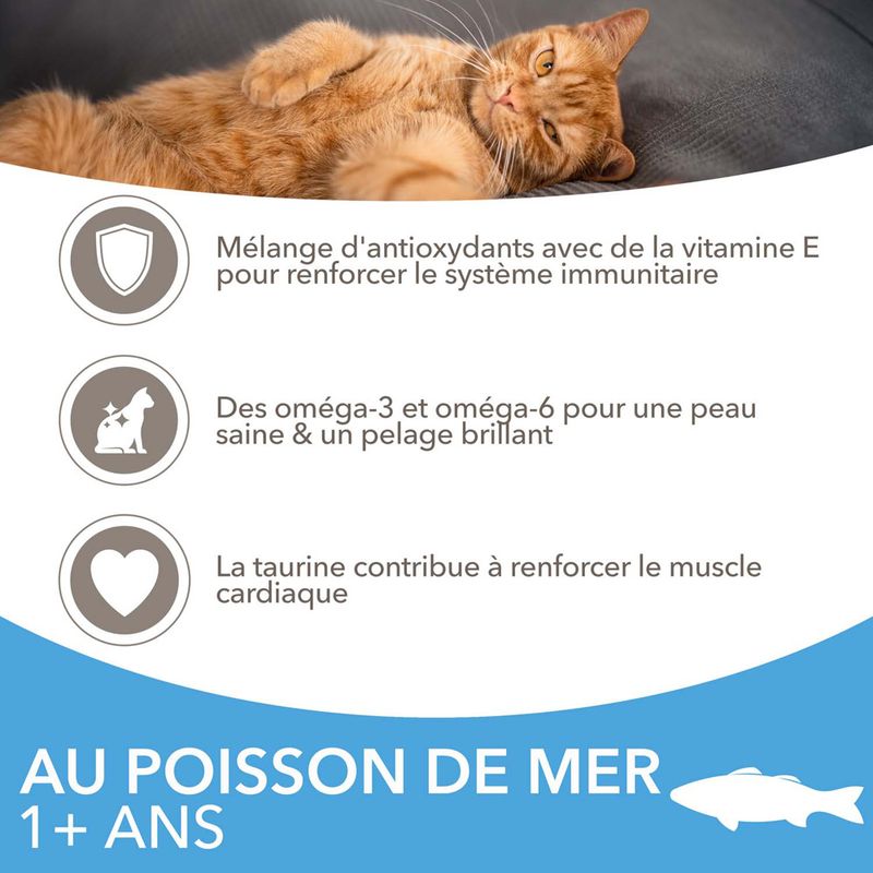 IAMS Advanced Nutrition Adult poisson de l'océan à prix discount sur bitiba.fr