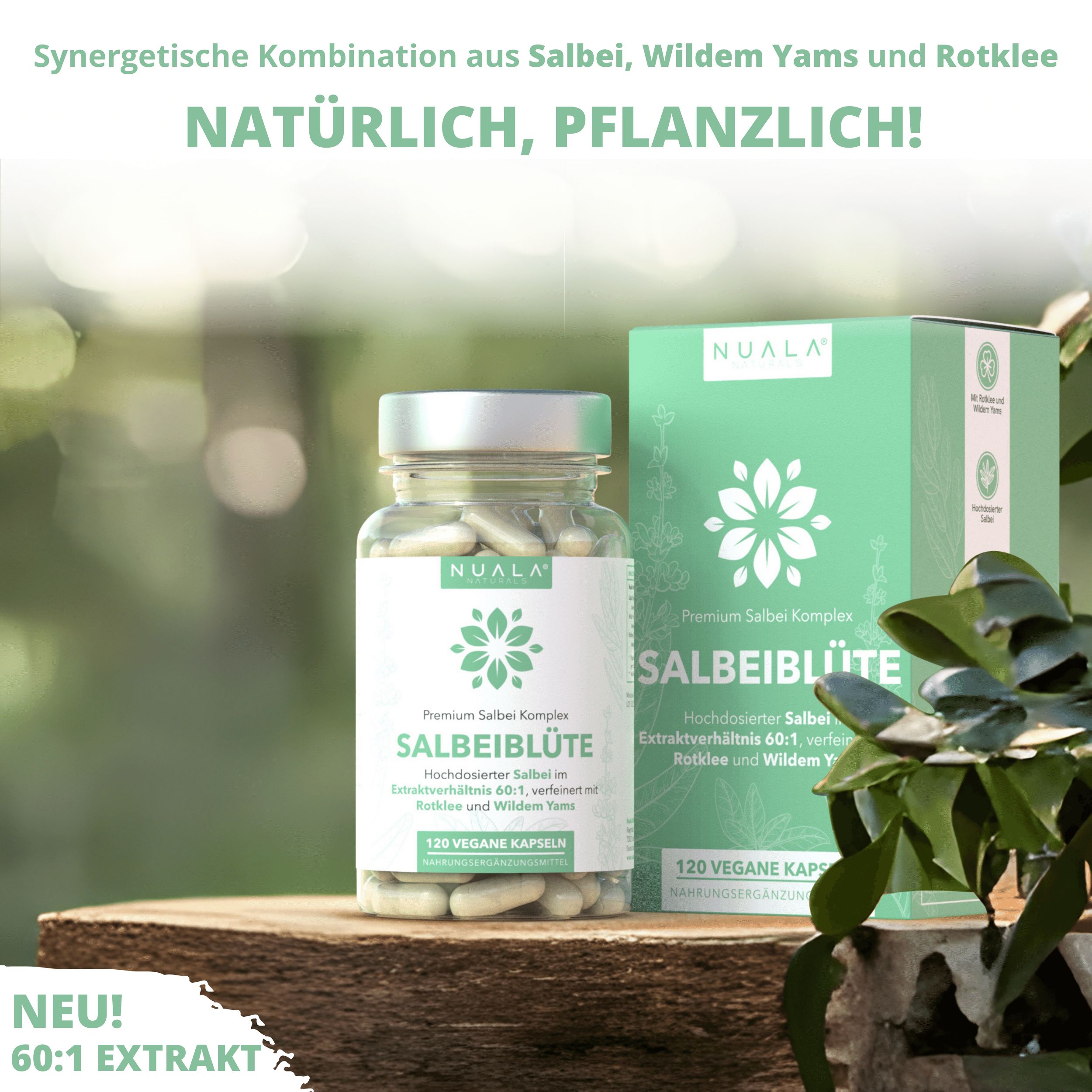 Nuala Naturals® - SALBEIBLÜTE Salbei Kapseln 60:1 mit Wildem Yams und Rotklee