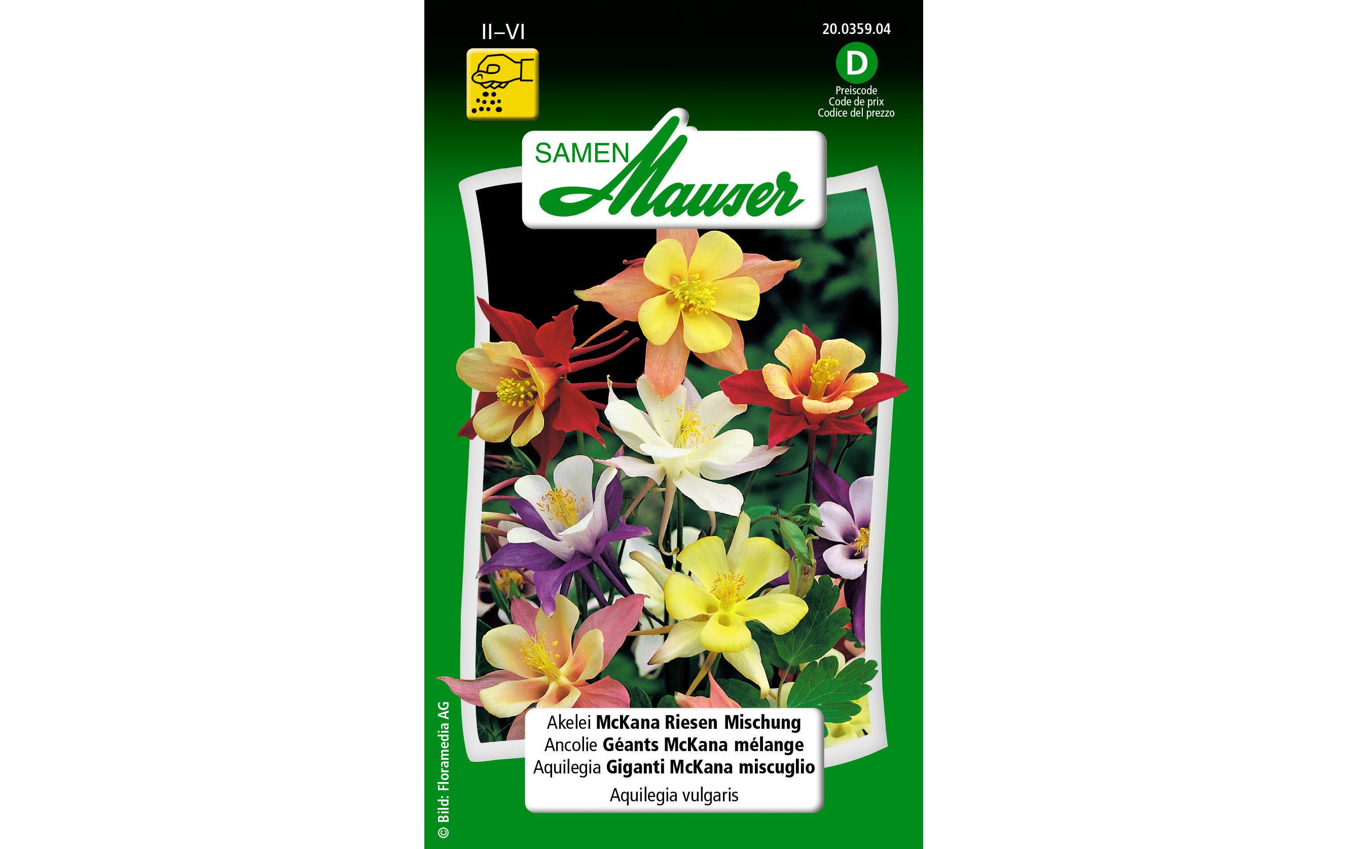 Saatgut Akelei McKana Riesen MischungBlumensamen