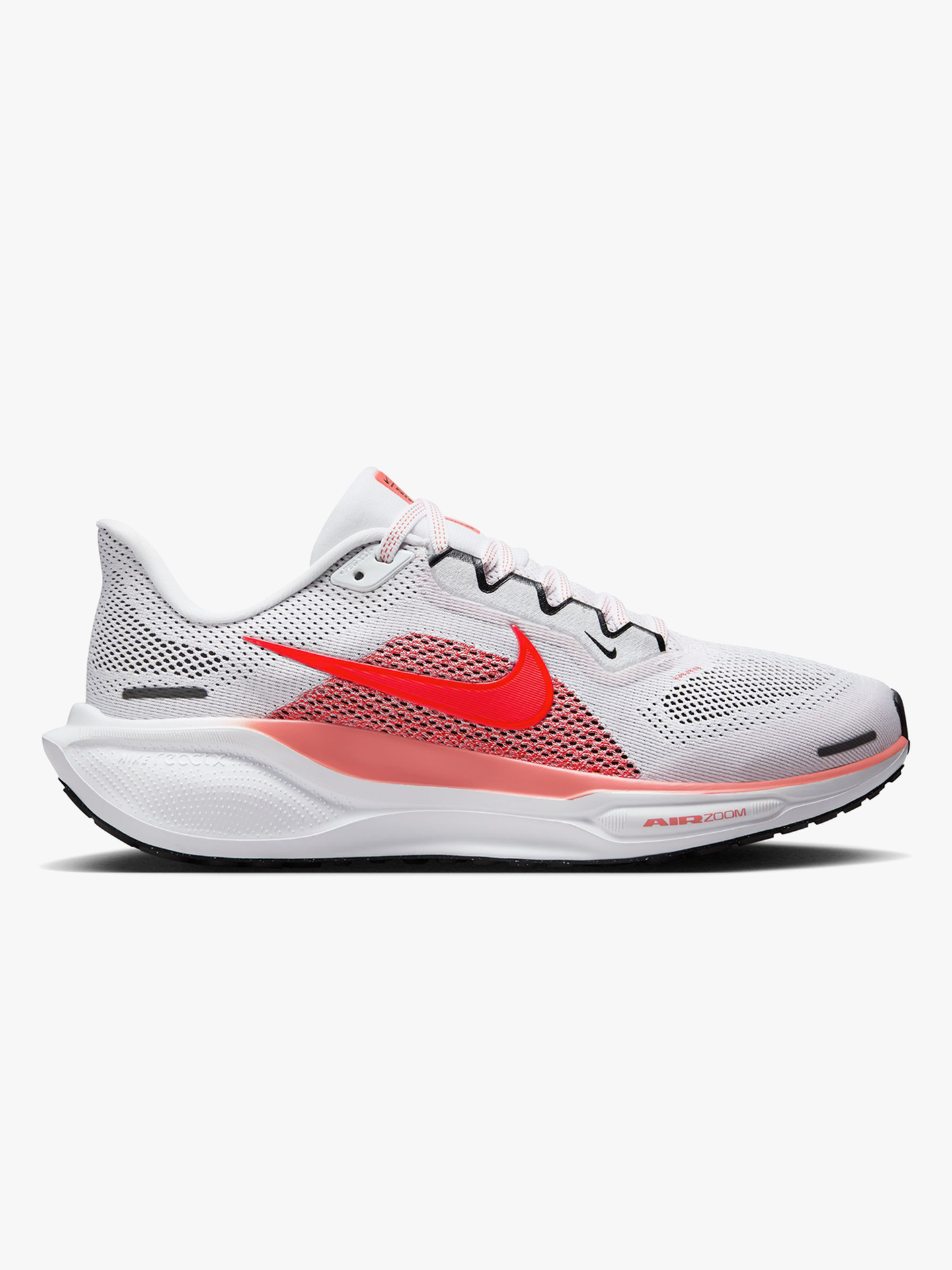 Pegasus 41