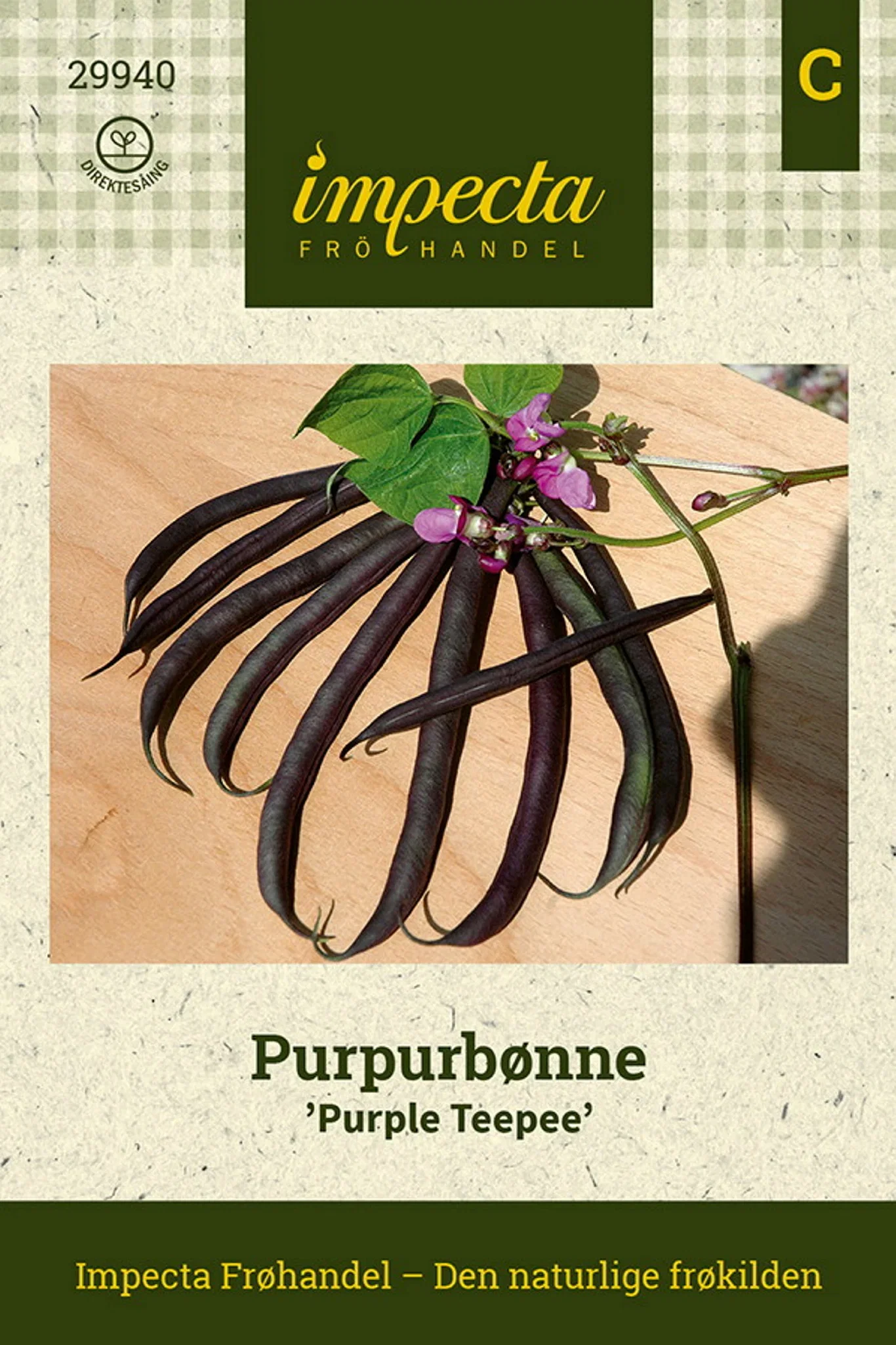 Phaseolus vulgaris 'Purple Teepee' Purpurbønne 'Purple Teepee'