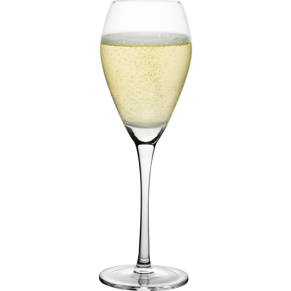 Champagneglass 16 cl, 8 stk