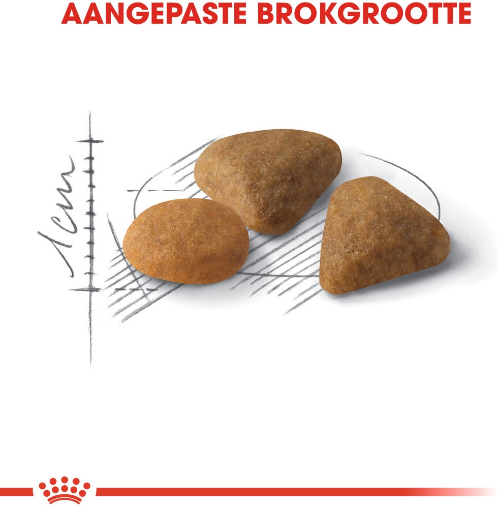Royal Canin kattenvoer Savour Exigent 400 g