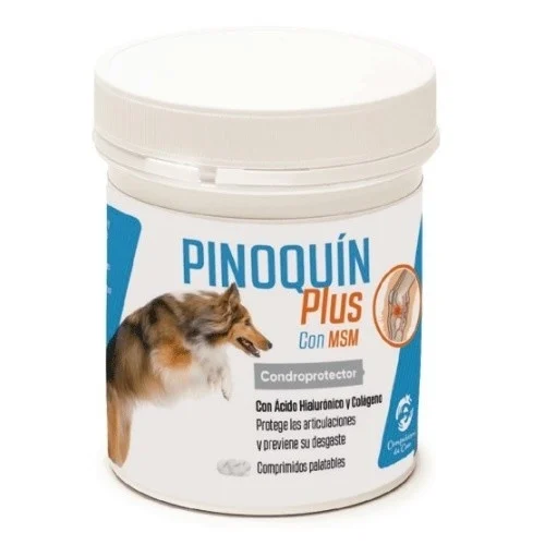 Pinoquín Plus Chondroprotector para cães e gatos