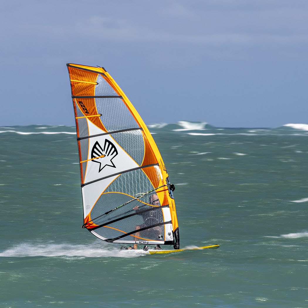 Ezzy Sails Lion - 2024 Bleu